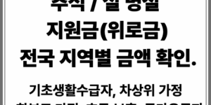 추석, 설 명절 지원금(위로금) 전국 지역별 확인 방법