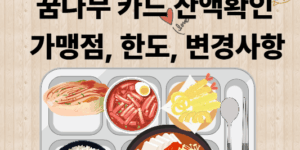 서울시 아동 급식 카드 잔액 조회, 가맹점, 한도, 변경 사항