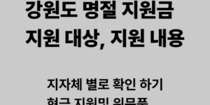 강원도 명절 지원금 지원 내용 지자체 별로 확인 하기