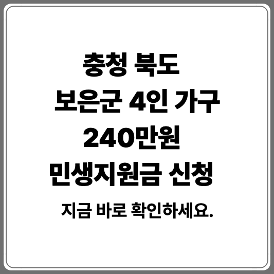 보은군 민생지원금 240만원 신청 방법, 지급 시기, 사용처 알아보기