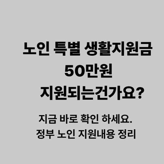 노인 특별 지원금 신청 관련 정보 정리
