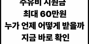 주유 비 지원금 지원 대상별 금액 확인, 신청 방법등